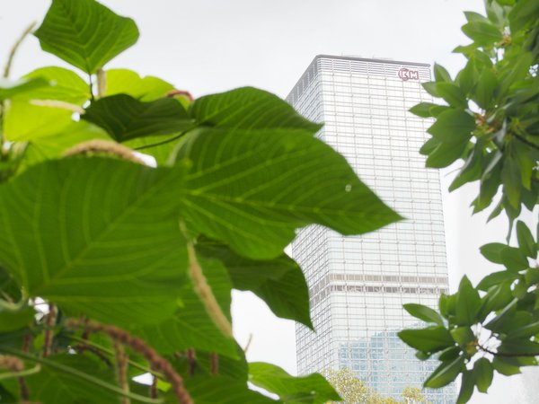 How can UK businesses utilize the Green Business Loans for property renovations?