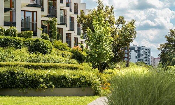 How can developers comply with the new biodiversity net gain requirements in England?